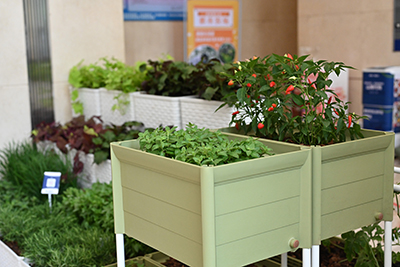 J9����|����վ����