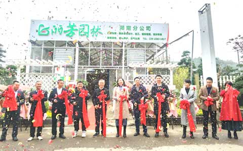 J9����԰�ֺ��Ϸֹ�˾ʢ��ҵ����ս�����г�