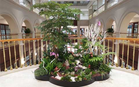 ���ޣ�J9����԰���ٻ�Ϊ��ǰ���عɡ��ո�����ͨ...