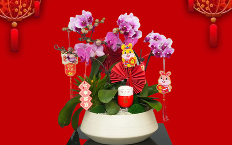 �껨��俪 | J9����԰���´���ۺ��껨����ԤԼ