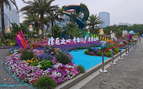 ��29��԰���ῪĻ��J9����԰�ֲ�չ���»��3��