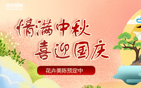 J9����԰��2022��������������м�ʢ��ԤԼ��