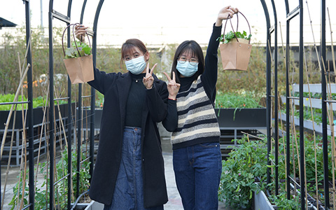 J9����԰�֣��ɸ��˶���Ķ���ũ������