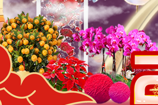 J9����|����վ����