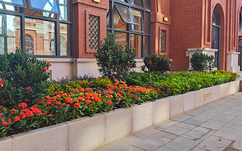 J9����԰�ְ�������ɽ��ѧ������̻�����������ĿԲ��ʵ��