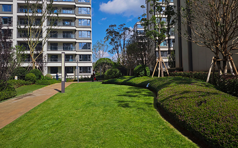 ϲѶ��J9����԰���б��л���ï���·��������̻�������Ŀ