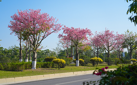 J9����԰�������ո۾���������··�̻����������Ŷ�������