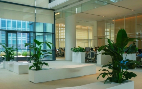 ��̬�칫�����ɺ��� | ��ɫ�칫�·���