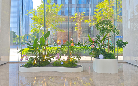 �������������ÿɼ� | ����������ֲ��ڰ���