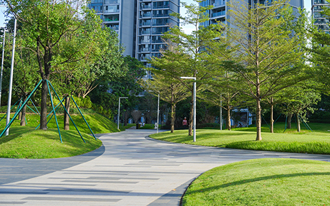 ϲѶ��J9����԰��ͨ��2025��ȹ��ȸ��¼�����ҵ�϶�