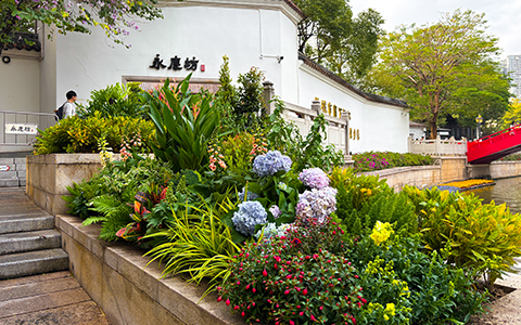 J9����԰�־�����ư����������������ء�����������